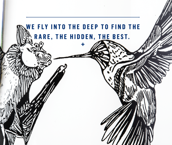 Danza Ensamble Mezcal