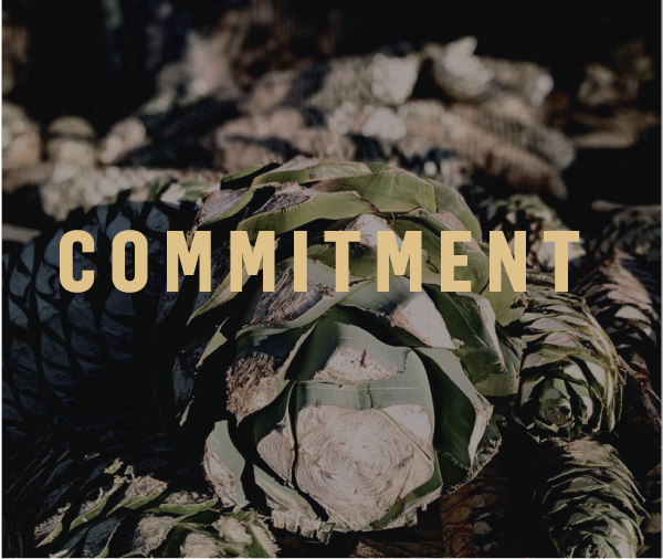 Danza Ensamble Mezcal