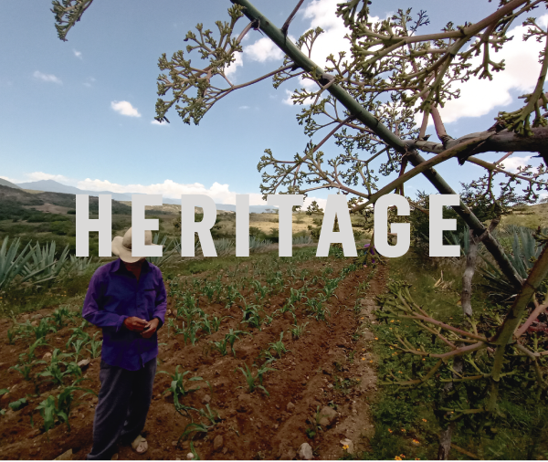 Danza Ensamble Mezcal